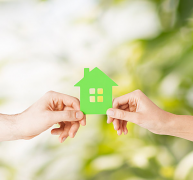 贝壳粉这个初生的朝